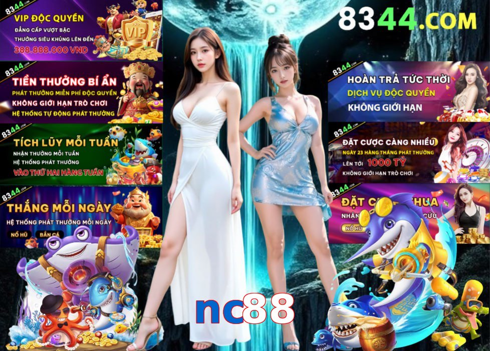nc88
